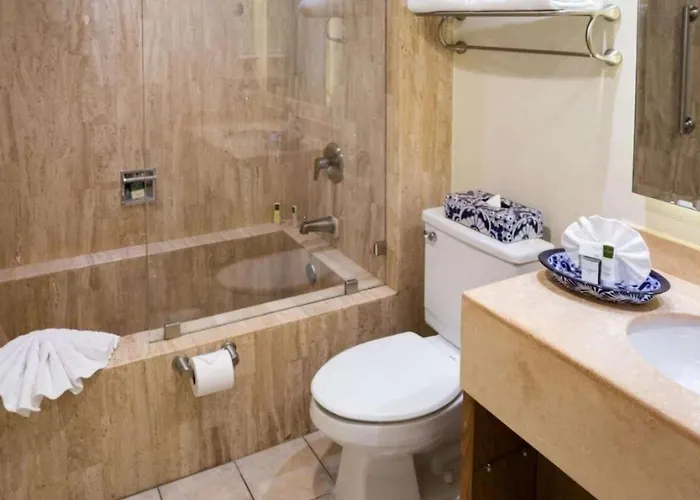 2bd Oceanview Del Palmar Cabo